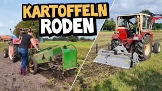 Kartoffeln ernten wie vor 70 Jahren! | Alte Technik im Einsatz! | Stoppelfeld fräsen | Mr. Moto