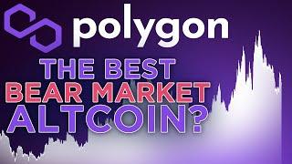 Best Altcoin To Hold in a Bear Market | Polygon MATIC Update