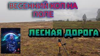 КОП ПОЛЕ НАХОДКИ/ДОРОГА В ЛЕСУ #metaldetecting #клад #коп #находкисметаллоискателем #coin #история