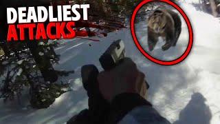 Deadliest Bear Attacks of 2023 MARATHON!