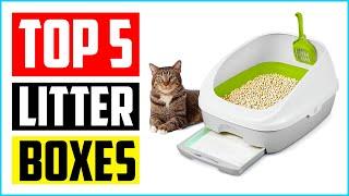 Top 5 Best Automatic Kitty Litter Boxes In 2022 Reviews