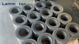 Compound Stamping Stator and Rotor Core Lamination in China