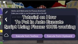 Tutorial on How To Put In Auto Execute Script Using Fluxus 100% working