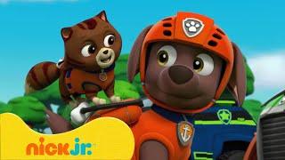 Щенячий патруль | В поисках призраков в лесу! | Nick Jr. Cyrillic