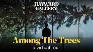 Among The Trees | curator tour with Ralph Rugoff | Hayward Gallery