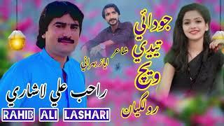 Jodaii Taydai Wchh Roll Gayan|Rahib Ali Lashari New Song Viral TikTok video