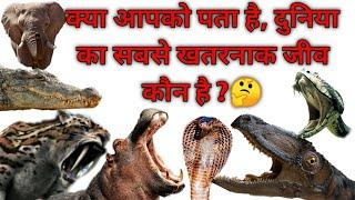 Most dangerous animal in tha world || by DESI explorer