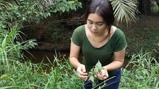 Gadis Dayak || Ragam Sayur Kebun Masyarakat Suku Dayak Kalimantan