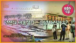 [뭉클한 주말 #157] 고속터미널의 서울별곡, 당신의 서울살이는 안녕하신가요? | 서울의 첫 관문, 고속터미널 [다큐3일 080823 KBS 방송]