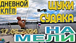 ЩУКА и СУДАК. КОГДА КЛЮЁТ НА МЕЛИ. 17.08.2024. РЫБАЛКА НА СПИННИНГ с ЛОДКИ.