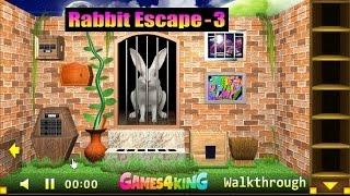 G4K Rabbit Escape 3 walkthrough Games4King.