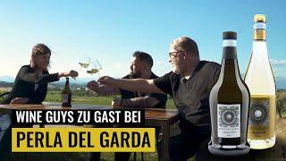 Lugana | die Perle vom Gardasee | WINE GUYS zu Gast bei Perla del Garda