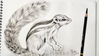 Charcoal Pencil Shading: Capturing the Essence of a Squirrel | PS Art Gallery