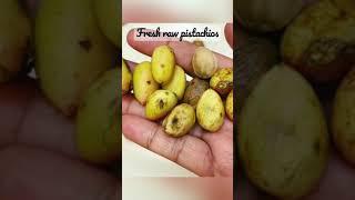 Fresh raw pistachios #healthynuts #healthynutrition #pistachio