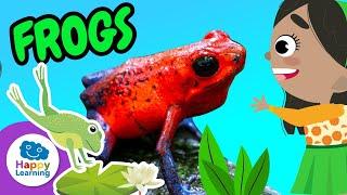 Fascinating Facts about Frogs | Happy Learning 