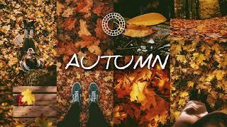 Autumn Filter - VSCO Tutorial