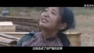 袁腾飞大清帝国 28大器晚成的模范总督