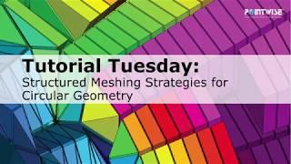 Structured Meshing Strategies for Circular Geometry