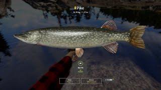 Russian Fishing 4 - Pike Trophy 13,19 kg - Ladoga Lake