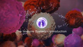 The Immune System – Introduction [HD]