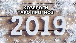 Козероги 2019 Твро Прогноз