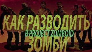 Гайд по настройке популяция зомби в Project Zomboid.