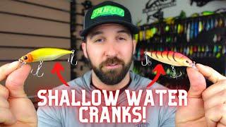 Shallow Water Crankbait and Jerkbait Fishing | B8Lab Fyre Shad