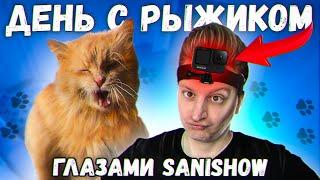 Один день с рыжим котом моими глазами / SANI vlog