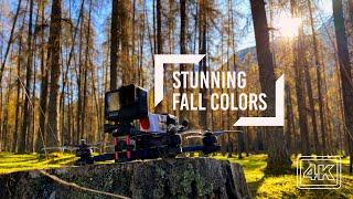 Stuning flight through a Autumn Forest - 5K Drone Movie