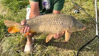 Лучшая прикормка на Карпа Карася и Леща. Гороховая мастырка. #fishing #carpfishing #рыбалка