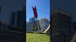 Cupid’s Span Sculpture #sanfrancisco #sculpture #sfbay #sfbayarea #art #cupidsspan