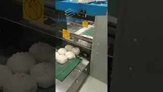 Samson (SS-600S) Bread Without Tray Flow Packing Machine 无托面包包装机