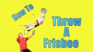 A Revolutionary Way to Throw a Frisbee to your Dog