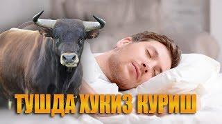 Туш табири - Тушда сигир ва хукиз куриш