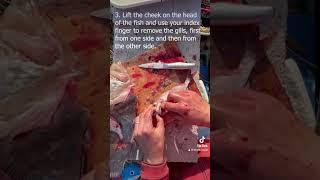 How to clean a fish before cooking in 4 steps