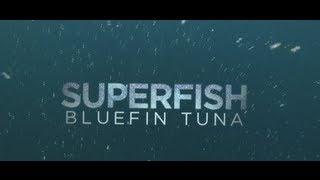 Rick Rosenthal on Filming "Superfish: Bluefin Tuna" | Pew