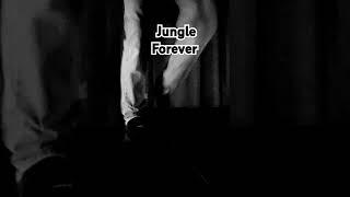 Jungle Forever #Musik #dance #jungle #oldschool #drumandbass #justforfun #techno #electronicmusic