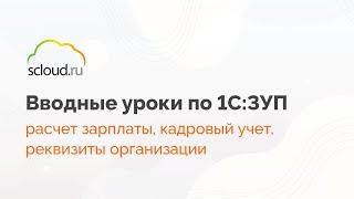 Настройка: расчет зарплаты, кадровый учет, реквизиты организации в 1С: ЗУП