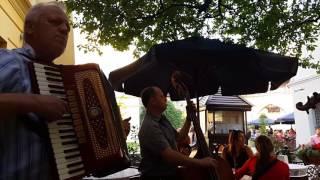 Hungarian Chardas by trio of violin, accordion and contrabass in knaipa "under golden rose"