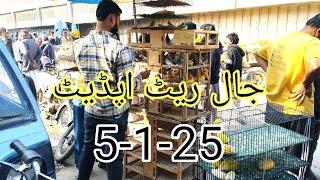 Pakistan Biggest Birds Market  Lalukhet Jaal Update 5-1-25 By Sohail Ahmed TV