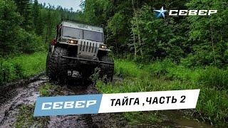 Вездеход SEVERTRUCKS. Испытания. Тайга. д. Ангалой, река Кайлятка. Красноярский край. Вторая серия.