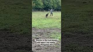 Rejoicing with one of the Lord’s creatures! #homestead #scripture #cows