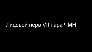 Лицевой нерв VII пара ЧМН д р Эндрю Ли