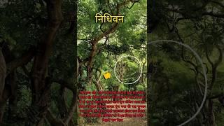 राधा रानी #radhakrishna #krishna #bhakti #bhaktisagar4khd