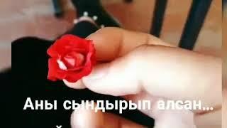 Сонун ыр(13)