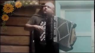 Metsäkukkia, Russian traditional song, Venäläinen kansanlaulu, России традиционная песня, accordion