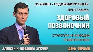 ЗДОРОВЫЙ ПОЗВОНОЧНИК | «Структура и функции позвоночника» | День первый | 15.12.2018