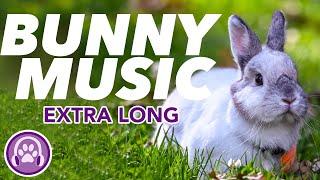 EXTRA LONG Music for Rabbits - 20 HOUR Lullaby for Bunnies