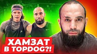 Хамзат Маэстро думает о подписании в Top Dog / Полный обзор