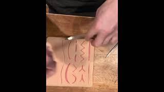 Simple Interupted Suture Technique Demo